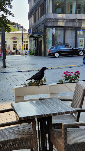 Comentarii opinii despre Café Milano | Ristorante & Pizzeria