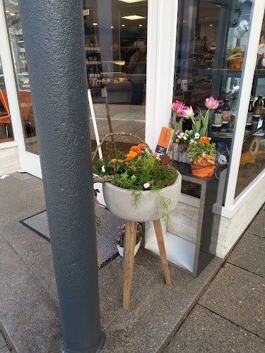 Schwanenstraße 13, 77815 Bühl