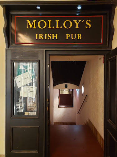 Molloy's Irish Pub - Straubing