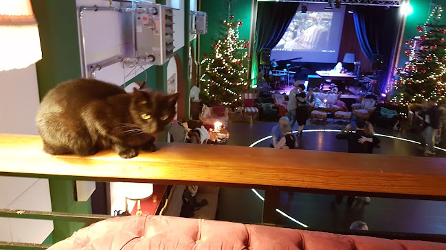 Comentarii opinii despre Cinema Paradiso & Arte