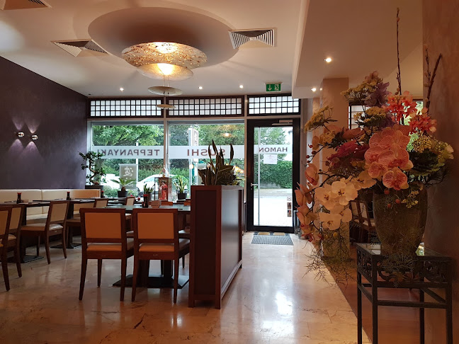 Rheingaustraße 65, 65719 Hofheim am Taunus