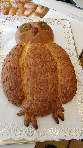 Comentarii opinii despre Hans-Josef Pennartz