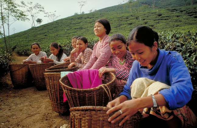 Hägerstraße 7, 88662 Überlingen