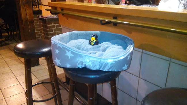 Comentarii opinii despre Rosenhügel