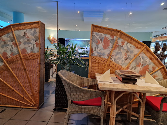 Bamboo Garden - Pforzheim