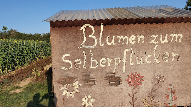 Blumen zum Selberpflücken - Leonberg