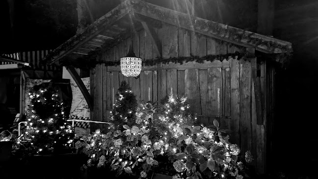 Opinii despre Heinrich im Park im Herzen vom Stadtpark în Emsdetten - Gastronomie und Hotellerie