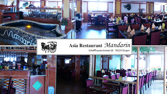 Asia Restaurant Mandarin, VU Thi Hang - Singen (Hohentwiel)