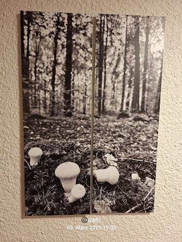 Schwarzwald Vereinsheim