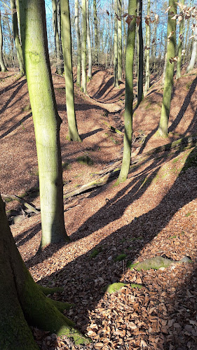 Waldgaststätte Oyler Berg - Gastronomie und Hotellerie