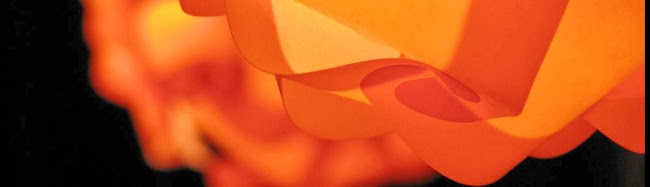 Kater Murr - Nürnberg