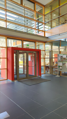 Mensa TellerRandt - Tharandt