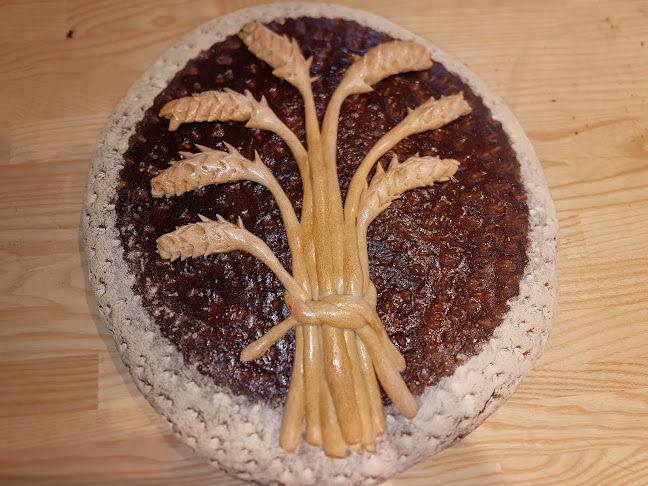 Comentarii opinii despre Der orange Beck