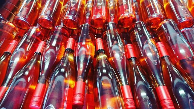 Comentarii opinii despre Weinbau Frédéric Fourré