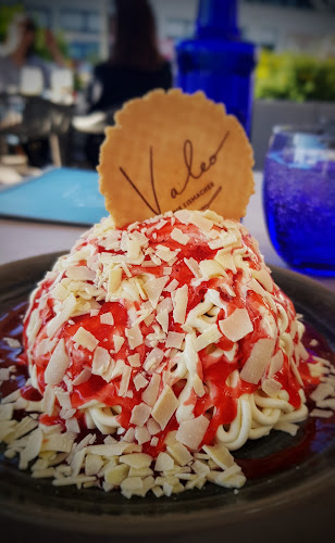 Comentarii opinii despre Valeo. Die Eismacher