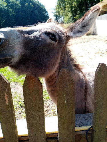 Am Lehmkamp 20, 27711 Osterholz-Scharmbeck