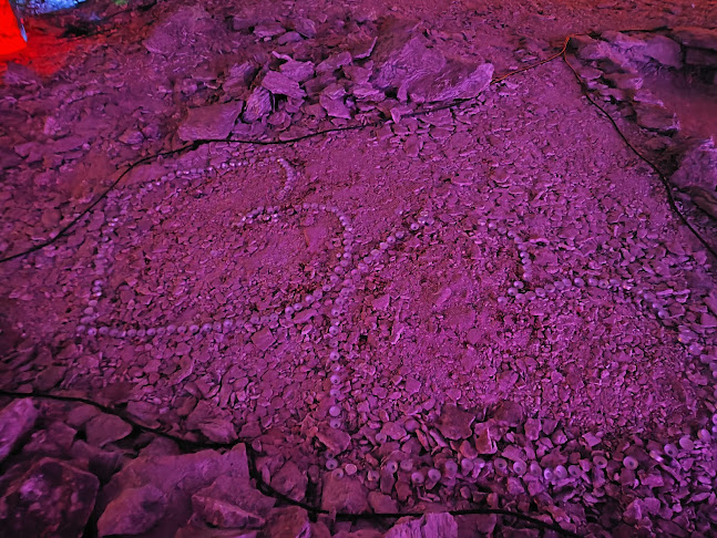 Comentarii opinii despre Gaststätte Barbarossahöhle