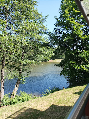 Restaurant & Waldcafé Am Kunstteich - Sangerhausen