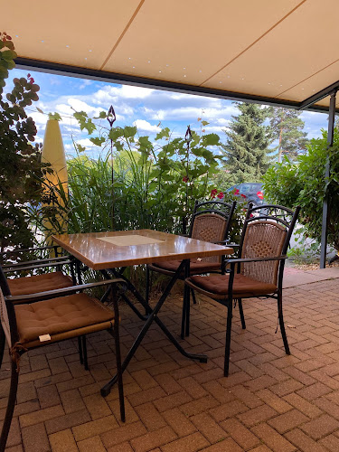 Comentarii opinii despre Zum Trollinger