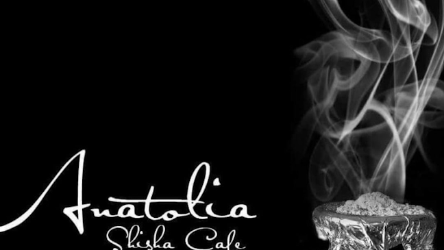 Comentarii opinii despre Anatolia Shisha Bar Koblenz