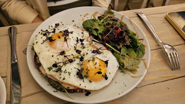 Comentarii opinii despre miamamia am stern