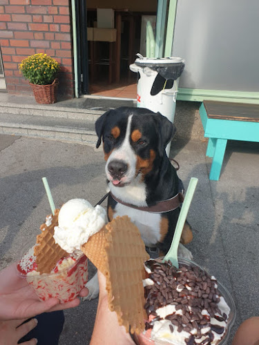 KUHBAR Dortmund-Eving - Dortmund