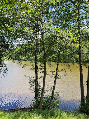 Am Kunstteich 1, 06526 Sangerhausen OT Wettelrode