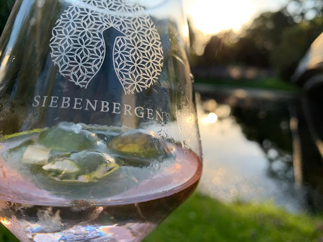 Auedamm 60, 34121 Kassel