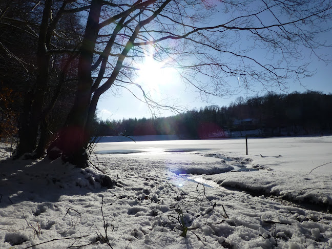 Comentarii opinii despre Restaurant & Waldcafé Am Kunstteich