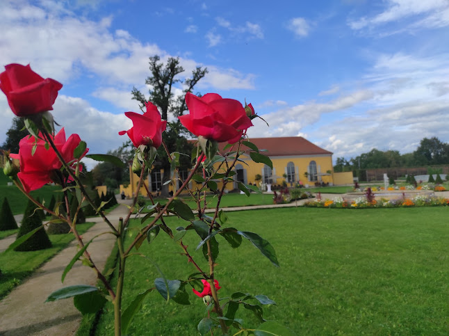 Comentarii opinii despre ORANGERIE im Barockgarten