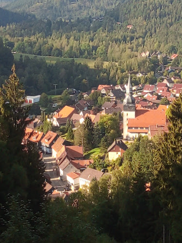 Am Maaßener Gaipel 1, 38685 Langelsheim
