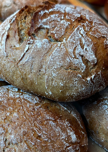 Comentarii opinii despre BROTPROFI