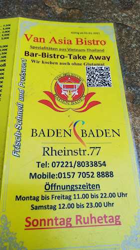 Van Asia Bistro - Baden-Baden