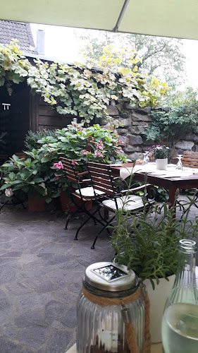 Comentarii opinii despre Restaurant Weinmühle