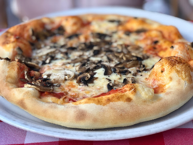 Grüne Str. 26, 27283 Verden (Aller)