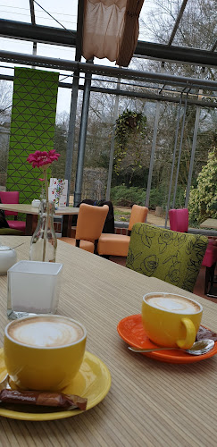 Opinii despre Palmenhaus-Café în Gütersloh - Gastronomie und Hotellerie