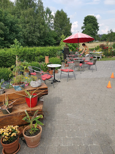 Eisgarten Heideblick Battaune - Gastronomie und Hotellerie