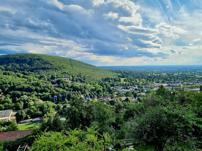 Opinii despre WeinCampus Fritsche în Ettlingen - Gastronomie und Hotellerie