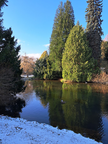 Comentarii opinii despre Café Siebenbergen
