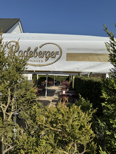 Comentarii opinii despre Brusco