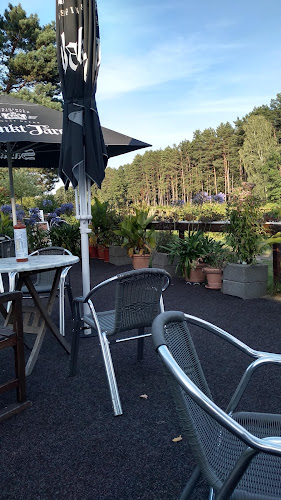 Malzer Ch 196, 16515 Oranienburg