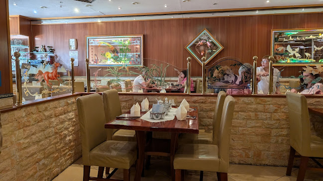 Opinii despre China-Thai Restaurant Panda în Bad Hersfeld - Gastronomie und Hotellerie