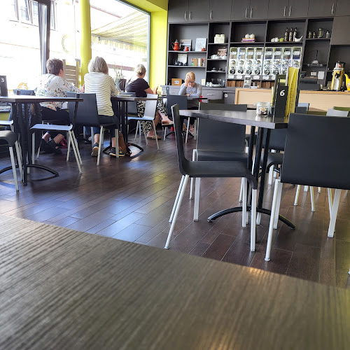 Comentarii opinii despre Samocca