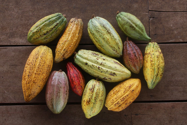 Comentarii opinii despre Café Nikan - private Kaffeerösterei Düsseldorf