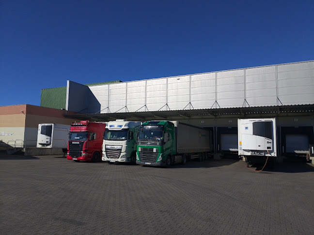 Opinii despre Conditess Feine Kuchen GmbH în Haselünne - Gastronomie und Hotellerie