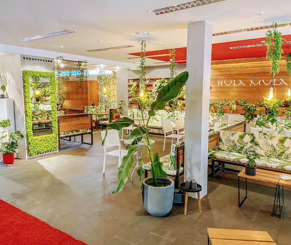 Hula Mula - Fresh Food & Drinks