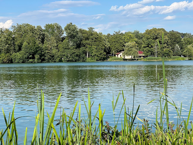 Opinii despre Cafézeit im Hecht Bad Waldsee direkt am See-Cafe Inh. Michaela Hecht în Bad Waldsee - Gastronomie und Hotellerie