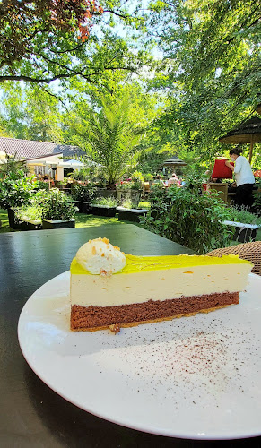 Arnsberger Str. 4, 59519 Möhnesee