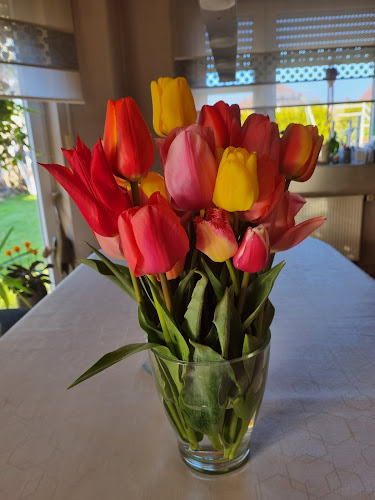 Blumenfeld - Blumen selbst schneiden - Paderborn