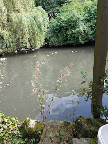 Comentarii opinii despre Köllerhof-Forellen Inh. Sven Schneider